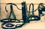 Driving Harness